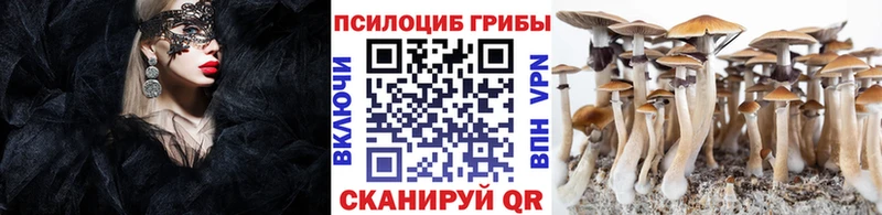 Галлюциногенные грибы Magic Shrooms Кировград